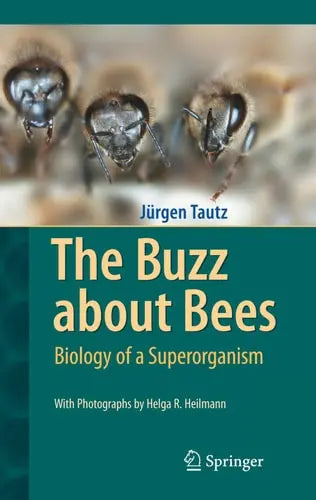 The Buzz about Bees: Biology of a Superorganism by Jürgen Tautz ISBN: 978-3540787273