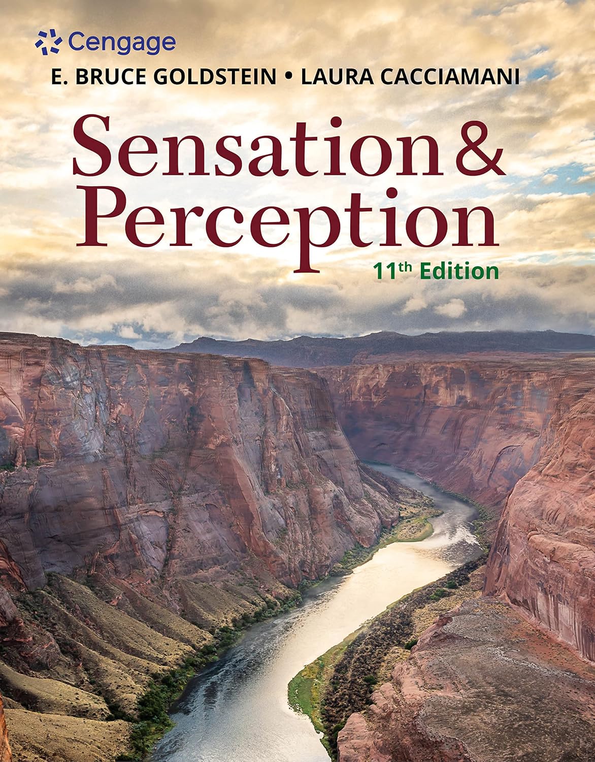Sensation and Perception by E. Bruce Goldstein 11th Edition ISBN 9780357446478
