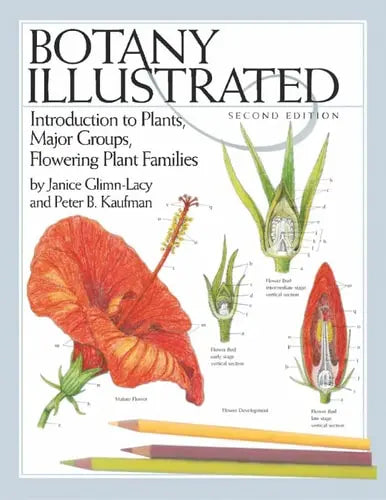 Botany Illustrated Introduction to Plants, Major Groups, Flowering Plant Families by Janice Glimn-Lacy 978-0387288703